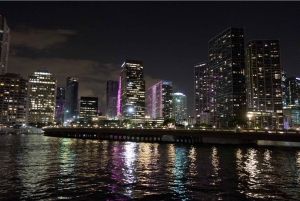 Miami: Downtown & South Beach Party Cruise with DJ