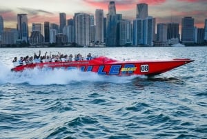 Miami: Personalized Tour: Biscayne Bay Speedboat by Pintours