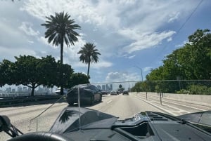 Miami : Les frondeurs de Polaris