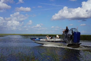 Tour prémium de la ciudad de Miami con mejora a un paseo en hidrodeslizador por los Everglades