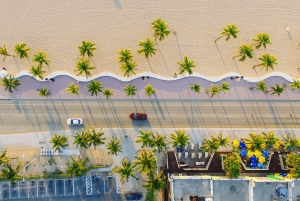 Tour prémium de la ciudad de Miami con mejora a un paseo en hidrodeslizador por los Everglades