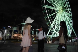 Miami Premium Avondtour met Skyviews Wheel Ride