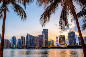 Miami: Premium-rondrit van de cruisehaven naar de luchthaven