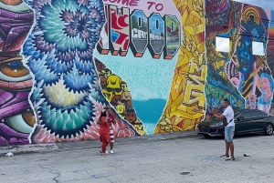 Miami: Private 4hrs City Tour with Expert Guide