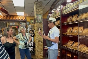 Miami: Private 4hrs City Tour with Expert Guide