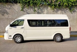 Miami: Traslado al aeropuerto privado