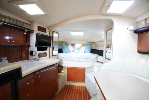 Miami: Private Boat Tour with Captain and Skyline Views