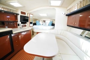 Miami: Private Boat Tour with Captain and Skyline Views