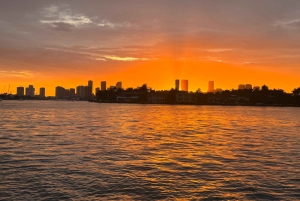 Miami: tour privado en barco con capitán y vistas del horizonte