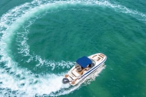 Miami : Tour en bateau privé avec pause baignade