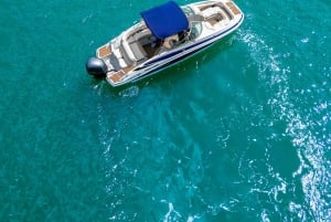 Miami: Private Boat Tour with Swimming Break