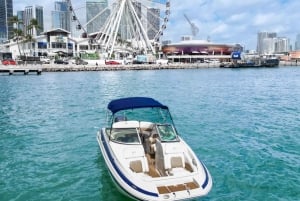 Miami: Private Boat Tour with Swimming Break