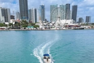 Miami: Private Boat Tour with Swimming Break