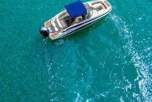 Miami: Tour en barco privado con pausa para nadar