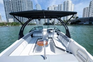 Miami: Tour en barco privado con guía