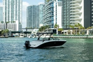 Miami: Tour en barco privado con guía