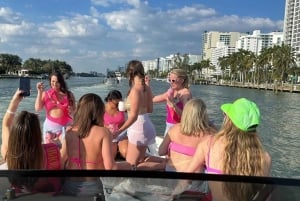 Miami: Privat stadskryssning på Miami Beach med fransk guide