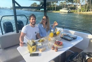 Miami: Privat stadskryssning på Miami Beach med fransk guide