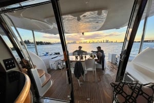 Miami: Privat stadskryssning på Miami Beach med fransk guide