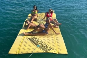 Miami: Privat stadskryssning på Miami Beach med fransk guide