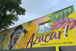 Miami: Private City Tour by Air-Conditioned Vehicle