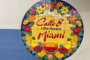 Miami: Private City Tour by Air-Conditioned Vehicle