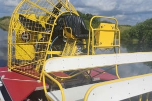 Miami : Excursion écologique dans les Everglades avec transport de luxe