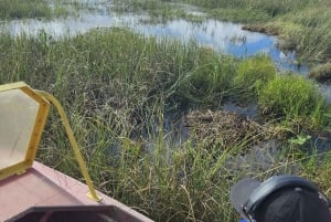 Miami: Everglades Eco Tour ylellisellä kuljetuksella