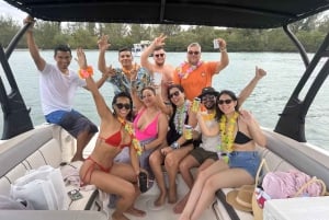 Miami: Guided Boat Tour with Champagne