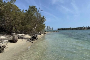 Miami: Guided Boat Tour with Champagne