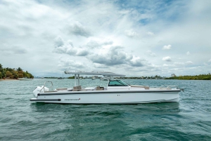 Excursão a uma ilha privada em Miami