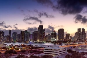 Miami: Private Luxury Airplane Tour with Champagne