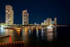 Miami: tour privado de luces nocturnas