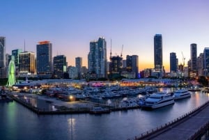 Miami: tour privado de luces nocturnas