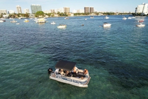 Miami: Alquiler privado de barcos pontón en Hallandale