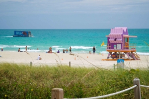 Miami: Private South Beach Surfing Lesson with Instructor