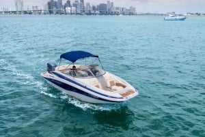 Miami: Tour Privado por la Isla de las Estrellas, el Skyline de Miami y el Río Miami