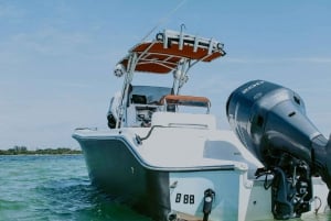 Miami: Private Tailored Sightseeing Boat Tour