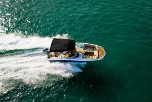 Miami: Private Tailored Sightseeing Boat Tour