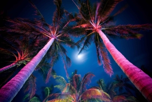 Miami Private Tour: Moonlight Magic Nightlife Experience