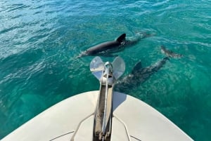 Miami: Privat yachtkryssning och rundtur med kapten