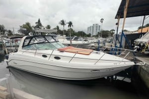 Miami: yksityinen jahtiristeily kapteenin ja virvoitusjuomien kanssa