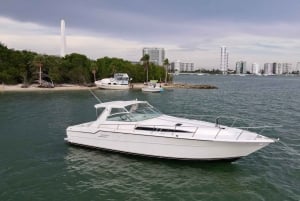 Miami : Location d'un yacht privé avec champagne et plongée en apnée