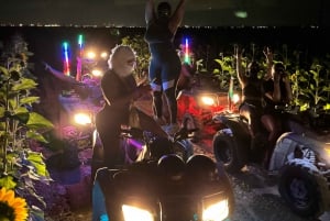 Miami: Avventura in ATV al chiaro di luna nei sentieri nascosti di Redland