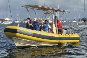 Miami: Avslappende sightseeing-båttur