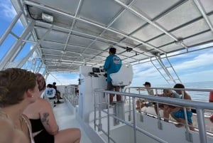 Miami: Robbie's Island Escape & Sightseeing Cruise Combo