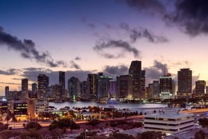 Miami Beach: Luksusowa wycieczka samolotem z szampanem dla 2 osób
