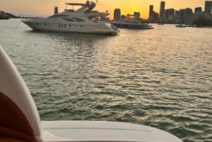 Miami’s Best Views: Private Boat Tour