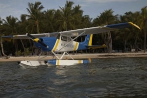 Miami: Skyline- und Strandtour mit dem Wasserflugzeug