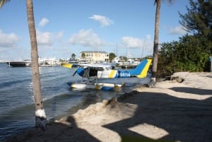 Miami: Seaplane Skyline Tour
